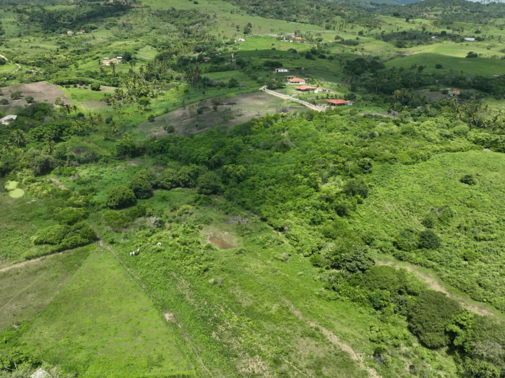Vista aérea da região do Recanto dos Lagos com vegetação nativa, coqueiros e casas ao redor