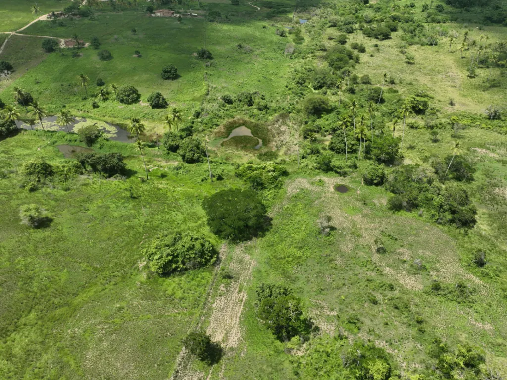Paisagem verde do Recanto dos Lagos com pequenos lagos, coqueiros e vegetação nativa